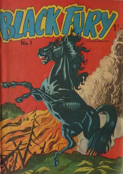 Black Fury #1