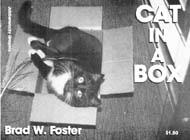 Cat in a Box