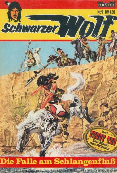Schwarzer Wolf #9