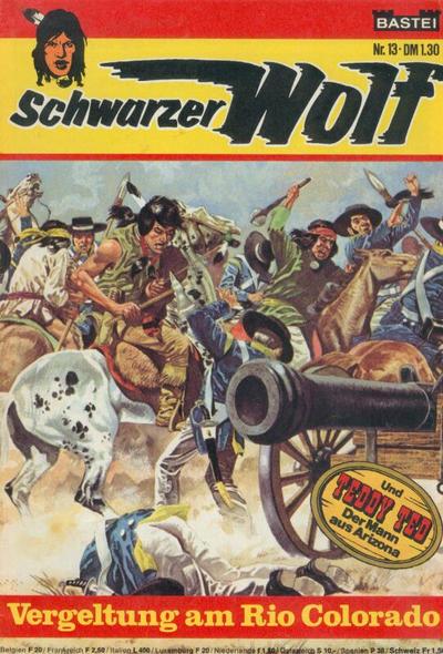 Schwarzer Wolf #13