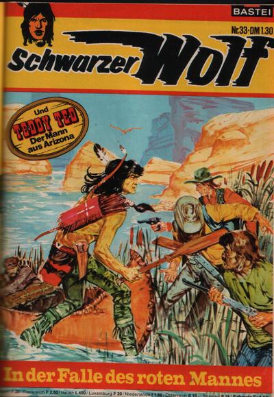 Schwarzer Wolf #33