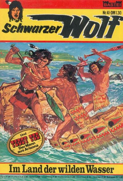 Schwarzer Wolf #41