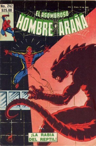 El Asombroso Hombre Araña 247