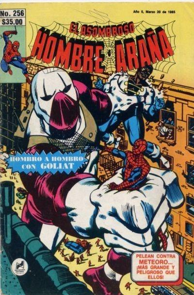 El Asombroso Hombre Araña 256