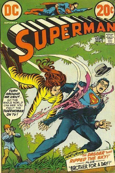 Superman 256