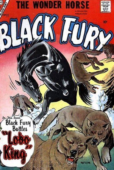 Black Fury #11