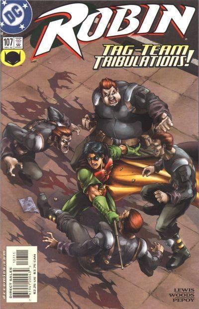 Robin #107