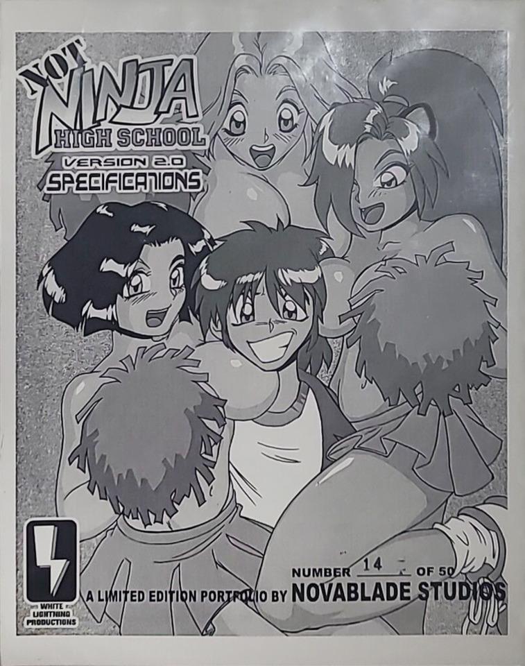 Not Ninja High School Version 2.0