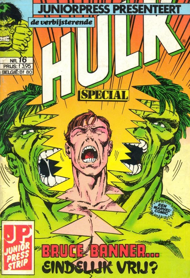 De Verbijsterende Hulk Special #16