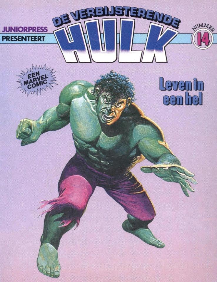 De Verbijsterende Hulk #14