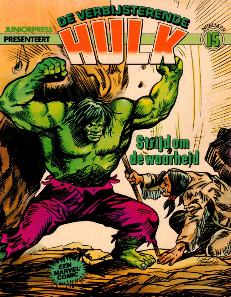 De Verbijsterende Hulk #15