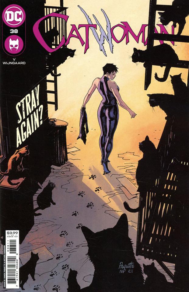 Catwoman #38