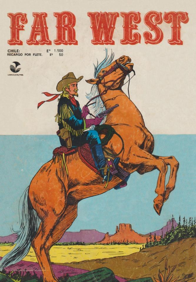 Far West 207
