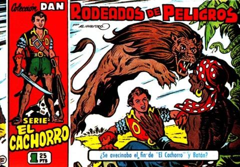 El Cachorro 137