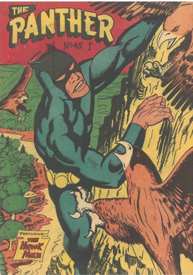 The Panther #45