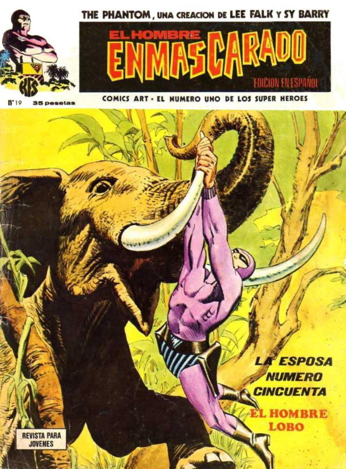 El Hombre Enmascarado #19
