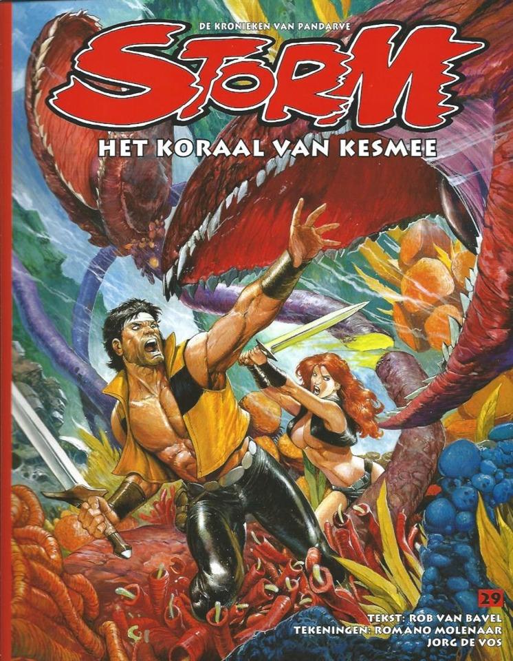Storm #29