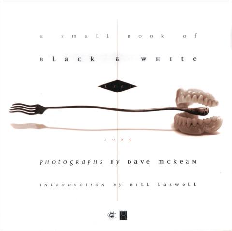 A Small Book of Black & White Lies