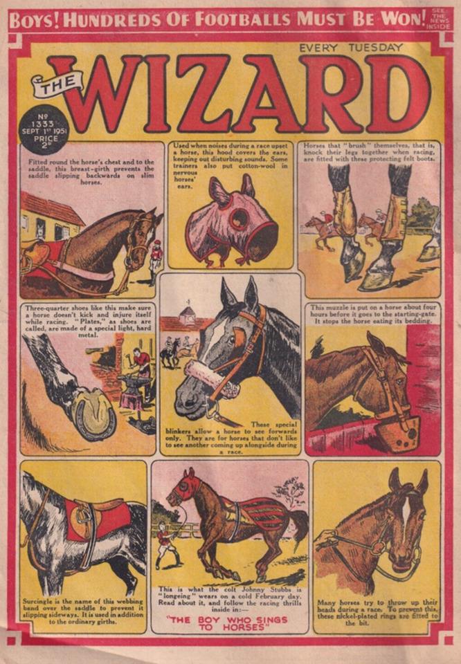 The Wizard #1333