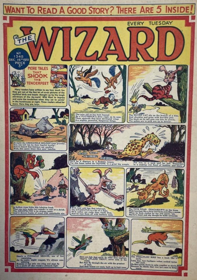 The Wizard #1348