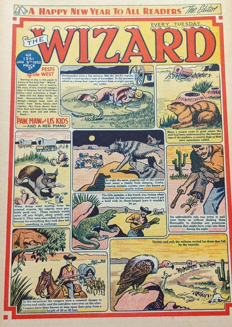 The Wizard #1351