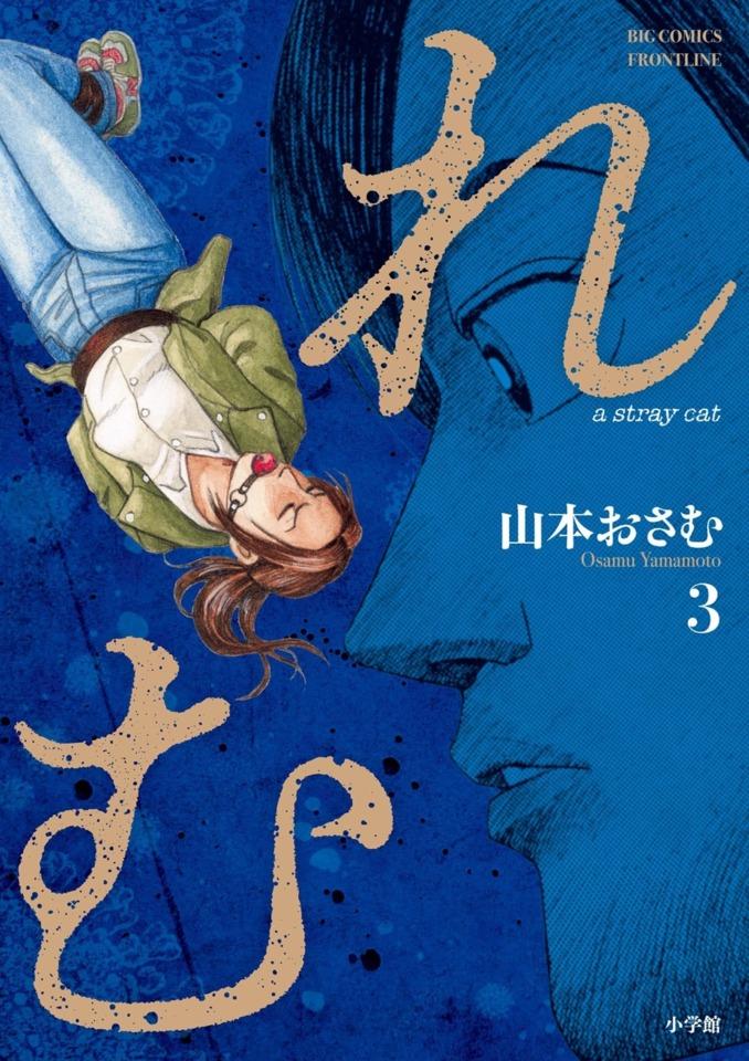 Remu: A Stray Cat #3