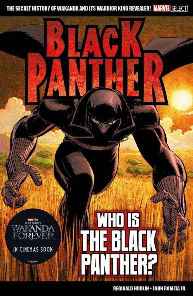Marvel Select: Black Panther - Who is the Black Panther?