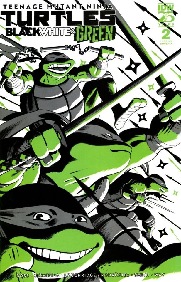 Teenage Mutant Ninja Turtles: Black, White & Green #2