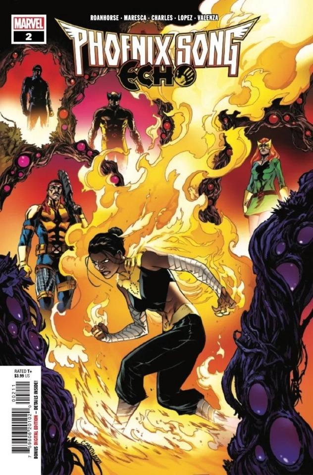 Phoenix Song: Echo #2 cover