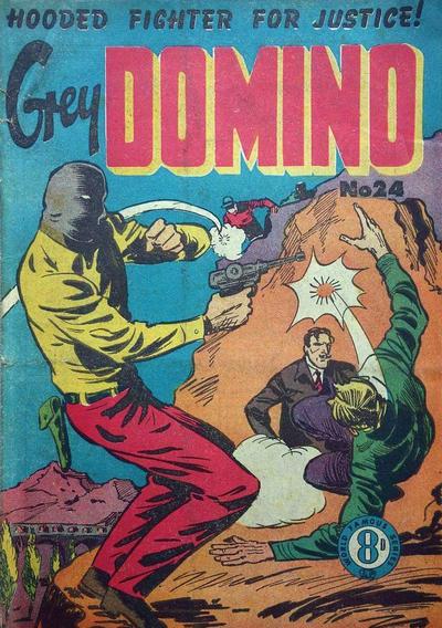 Grey Domino #23 cover