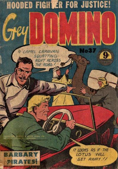 Grey Domino #37 cover