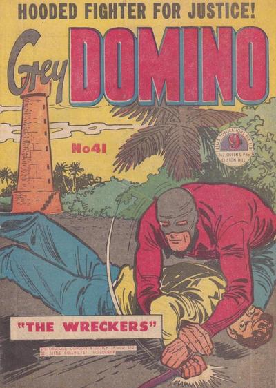 Grey Domino #41 cover