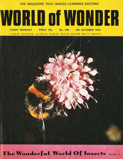 World of Wonder 185