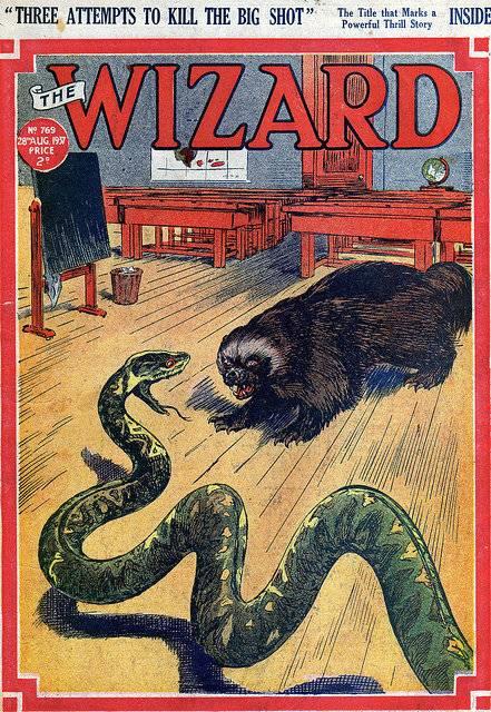 The Wizard #769