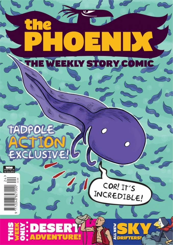 The Phoenix #24 cover