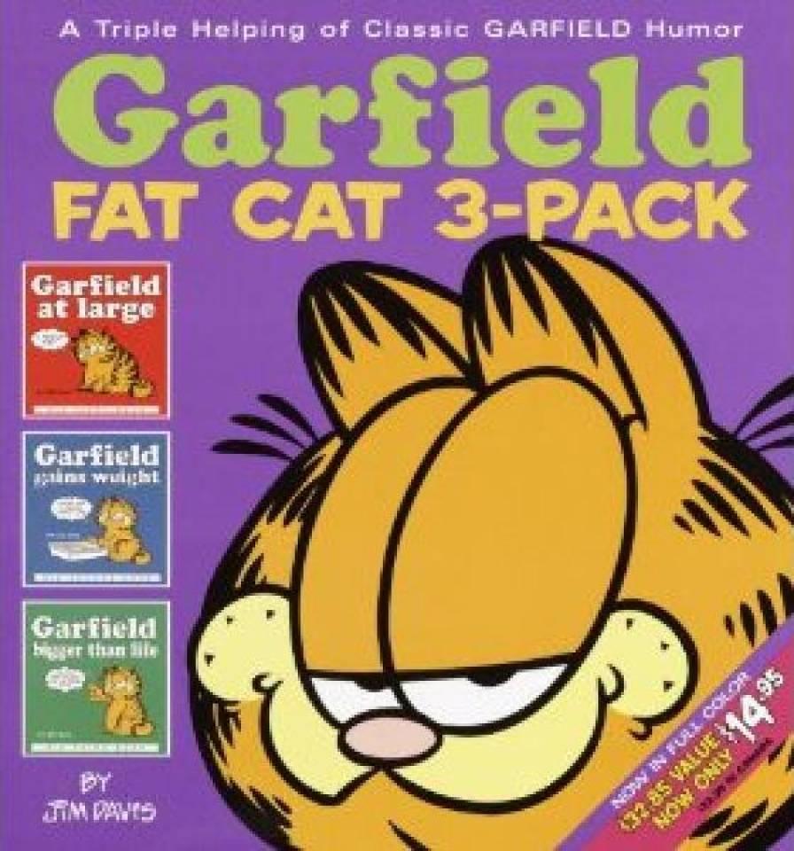 Garfield: Fat Cat 3-Pack