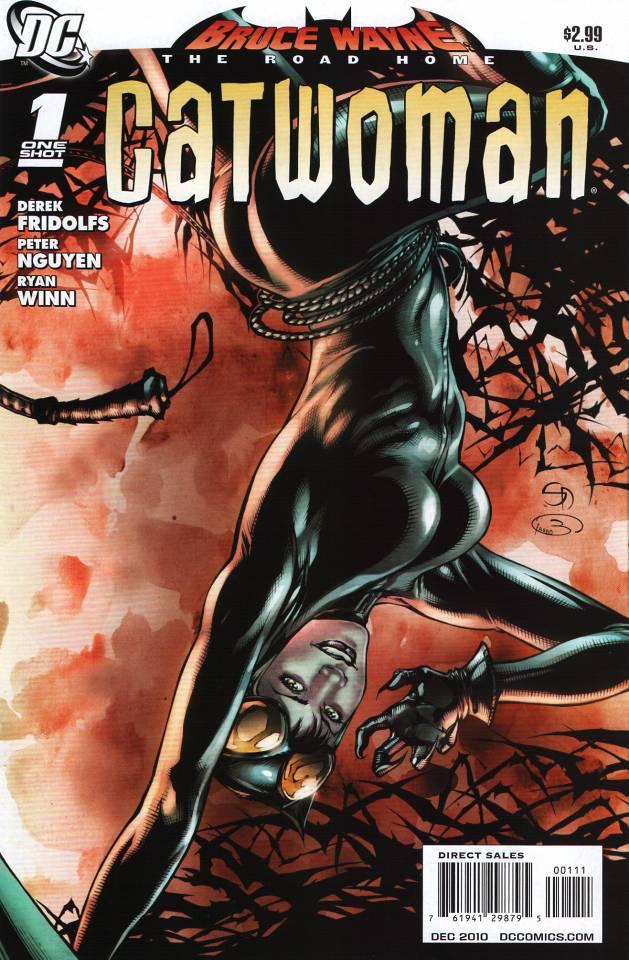 Bruce Wayne: The Road Home: Catwoman