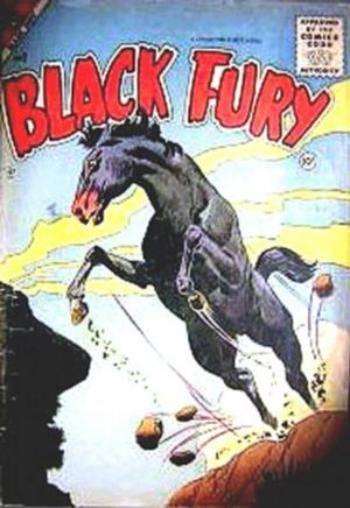 Black Fury #2
