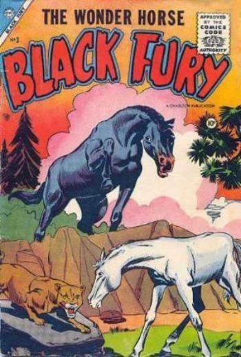 Black Fury #3