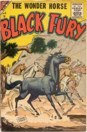 Black Fury #5