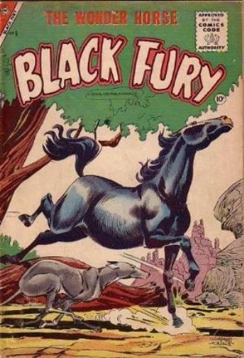 Black Fury #6