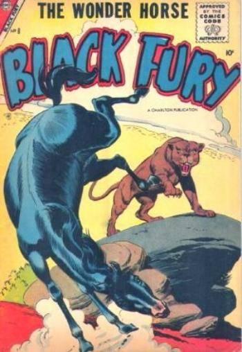 Black Fury #8