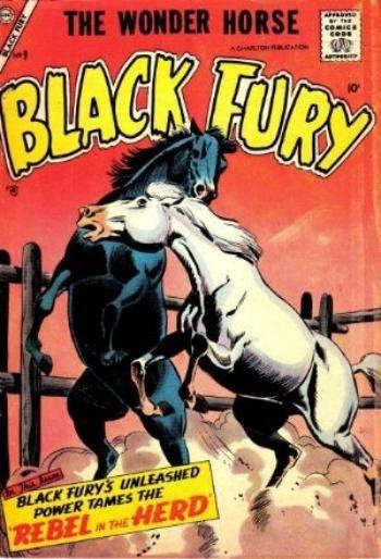 Black Fury #9