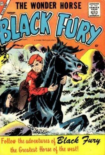 Black Fury #12