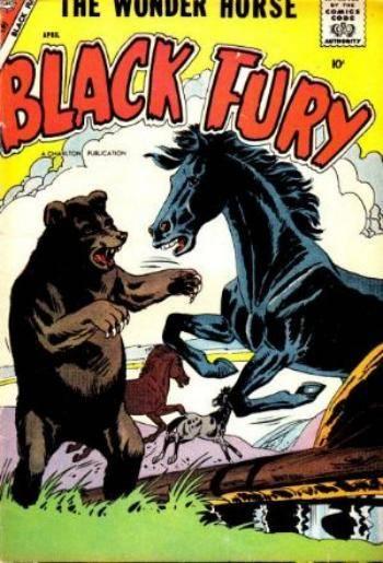 Black Fury #13