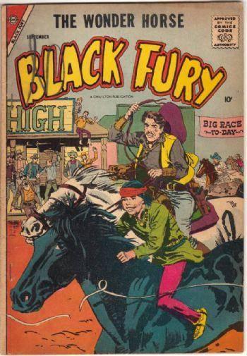 Black Fury #15