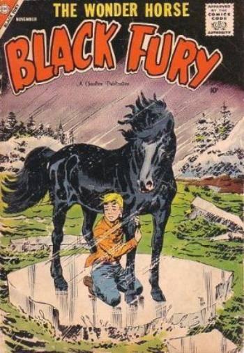 Black Fury #16