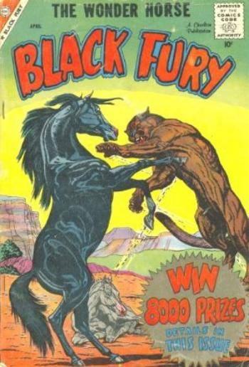 Black Fury #18