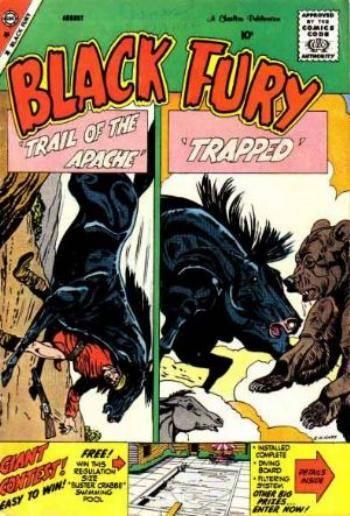 Black Fury #20