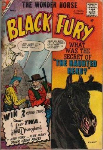 Black Fury #23